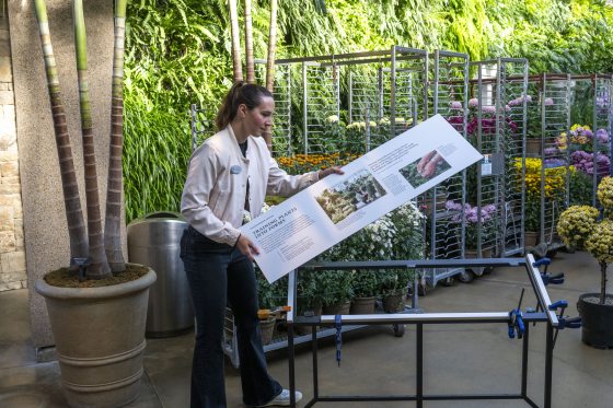 A staff member in a greenhouse setting holds up a large printed exhibit sign with text and photos on plant training techniques.