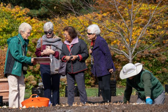 A gardening demonstration or class where attendees observe and review information while a staff member plants bulbs in the foreground.