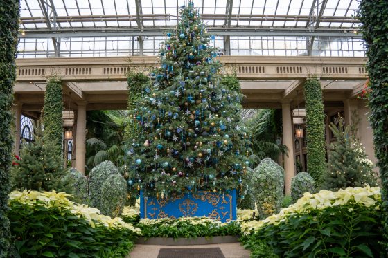 A grand, heavily decorated Christmas tree inside a glass conservatory or greenhouse, surrounded by lush white poinsettias (Euphorbia pulcherrima) and tall, green topiaries. The tree stands on a royal blue and gold base, framed by stone columns and greenery-wrapped arches.
