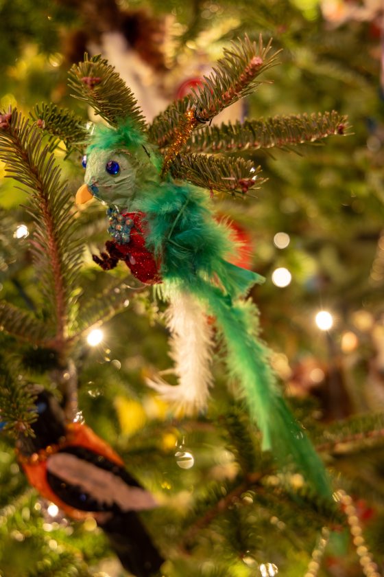 A close-up of a brightly colored, feathered bird ornament with a long green tail, large blue beaded eyes, and a touch of red near its chest, hanging on a Christmas tree branch adorned with lights.