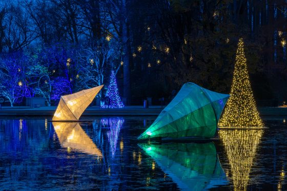 A close-up of a grassy lawn showing rows of small, clear, globe-shaped white lights staked into the ground as part of a large outdoor light display installation.