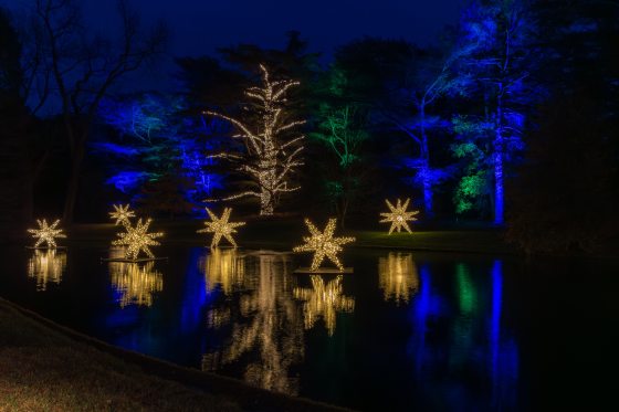 Nighttime view of a lake reflecting several glowing, star-shaped light displays floating on the water, with surrounding trees illuminated in blue and green.
