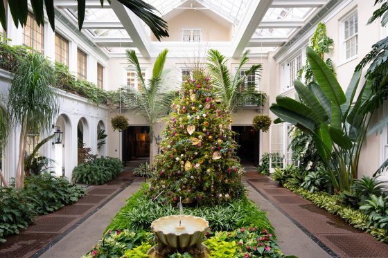 A large, fully decorated Christmas tree stands in the center of a lush, bright indoor conservatory or atrium with surrounding tropical plants, a small fountain in the foreground, and archways and upper balconies in the background.