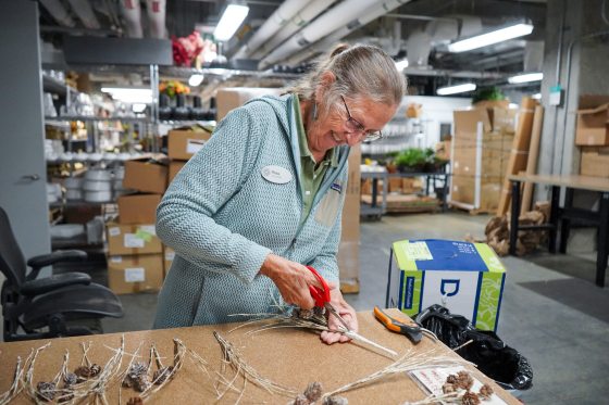 A woman with glasses and a green sweater smiles while cutting dried natural elements, possibly stalks or branches, with red-handled scissors at a table covered in pinecones and other craft materials in a large prep area.