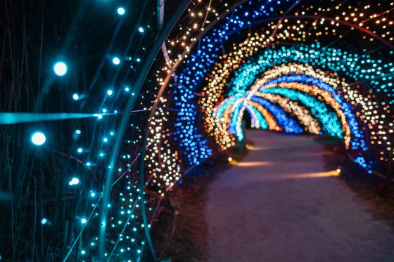 Nighttime view inside a curving tunnel archway brilliantly lit by swirling patterns of blue, teal, orange, and white string lights.