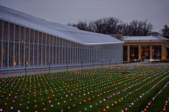 Evening view of a wide lawn covered in a dense grid of colorful, glowing Christmas lights in front of a large glass conservatory building.