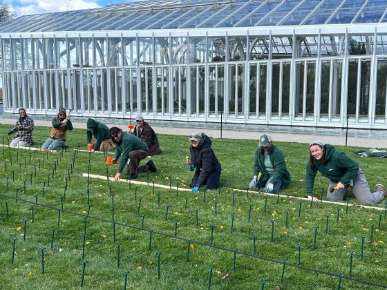 Seven workers kneeling on a lawn, carefully installing rows of staked lights using wooden guides in front of a large glass conservatory building during the day.
