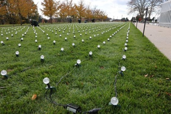 A close-up of a grassy lawn showing rows of small, clear, globe-shaped white lights staked into the ground as part of a large outdoor light display installation.