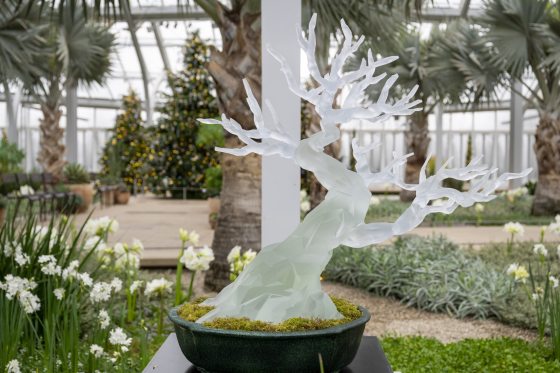 A translucent, frosted glass sculpture of a leafless bonsai tree with a thick, faceted trunk and delicate branches. The sculpture sits in a dark green ceramic pot filled with vibrant green moss, displayed in a bright conservatory among white flowers and palm trees, with blurred, lit Christmas trees in the background.