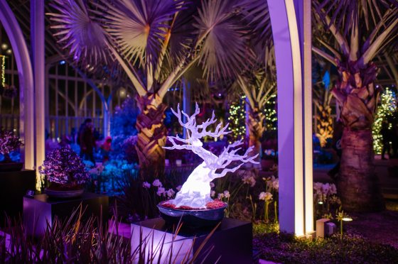 The finished Gem Bonsai sculpture glows brightly from within, displayed in a dark pot on a pedestal at Longwood Gardens. The conservatory is bathed in purple and blue light, illuminating nearby palm trees.
