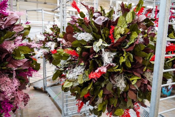 Close-up of a staff member's hands carefully arranging vibrant pink and orange flowers into a circular floral foam base.