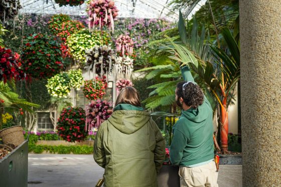 Two people, viewed from behind, looking at a large scale floral installation in a conservatory.