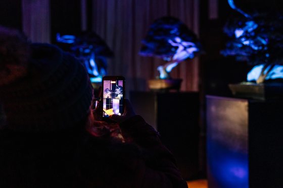 A person wearing a winter hat takes a photo with their smartphone of the glowing bonsai exhibition. The phone screen shows a clear image of the neon-blue trees, while the actual trees in the background are softly blurred.