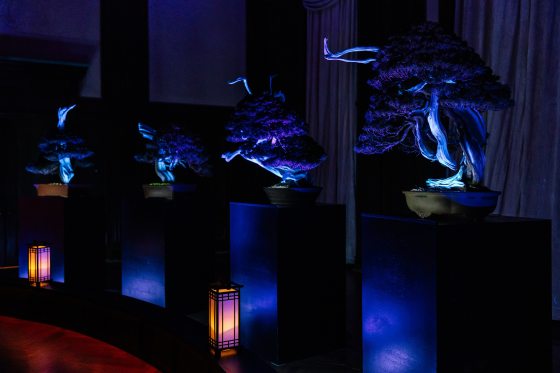 A row of four bonsai trees displayed on tall black pedestals in a dimly lit room. The trees are illuminated with ultraviolet light, causing their white trunks and branches to glow vibrant blue and purple. Traditional Japanese-style lanterns sit on the floor, casting a warm orange glow.