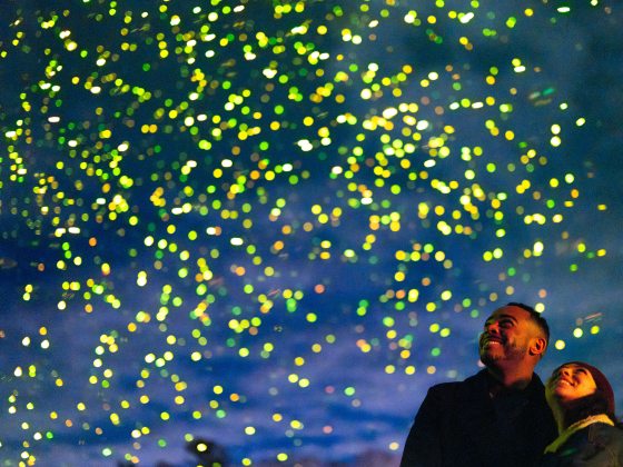 A couple positioned in the lower right corner and looking up at a vast expanse of shimmering yellow, green, and blue light particles. the composition emphasizes the scale of the "spark" effect against the dark blue evening sky.