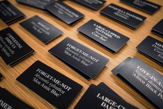 A high-angle, close-up shot of several rectangular, black plant identification labels with white text resting on a light-colored wooden surface. The labels include common names in all caps, followed by the scientific name in italics and a cultivar name in single quotes. Visible labels include "FORGET-ME-NOT (Myosotis sylvatica ‘Mon Amie Blue’)" and "COPPERTONE HIBISCUS (Hibiscus acetosella ‘Grapini Splendor’)."