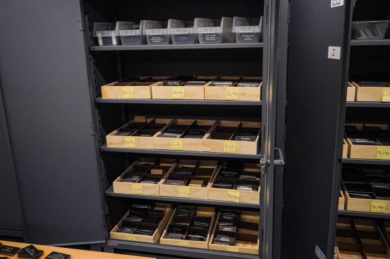 An eye-level shot of an open grey metal storage cabinet. The shelves are lined with wooden divided trays and clear plastic bins, each meticulously labeled with yellow sticky notes indicating alphabetical ranges (e.g., "Dox -> Dy," "Ech -> Eiv"). Each compartment holds stacks of black engraved plant identification labels.