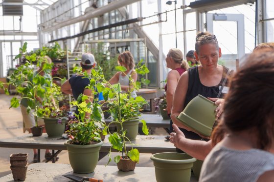 A group of people in a greenhouse working on a gardening activity, with various potted plants on tables in the foreground and people conversing in the background.