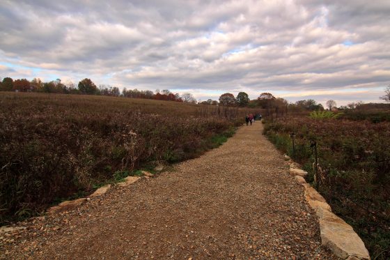 A wide, gravel multi-use path curves through a sprawling meadow under a dramatic, cloudy sky. The meadow plants are dark and dormant, suggesting autumn or late winter. A small group of people can be seen walking in the far distance along the trail.