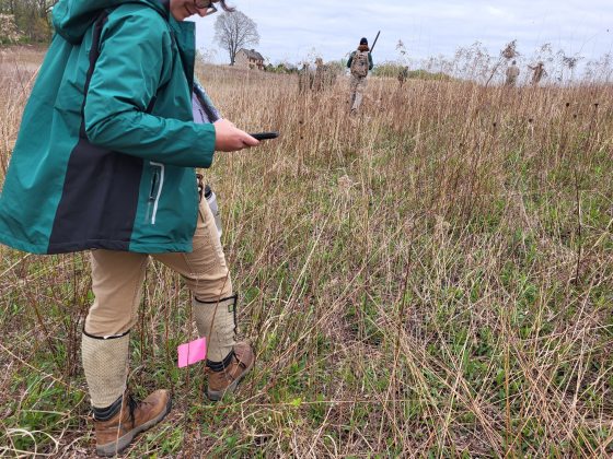 A person in a teal jacket and tan work pants walks through tall, dry meadow grass. They are looking down at a smartphone. A pink marking flag is stuck in the ground near their boots. In the blurred background, other workers can be seen scattered across the field near a stone house.