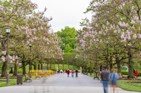 A scenic view down a long, straight paved drive lined with tall, mature trees in full bloom with pale purple flowers. In the foreground, several visitors are captured in a soft motion blur, walking toward the distant end of the path where a stone building is visible.