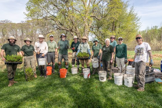 A group of twelve volunteers and staff members stand in a grassy area, posing for a group photo. Many are wearing green shirts with a garden logo. They hold planting trays filled with green plugs, buckets, and hand tools. Behind them is a large, budding tree and a wooded area in the background.