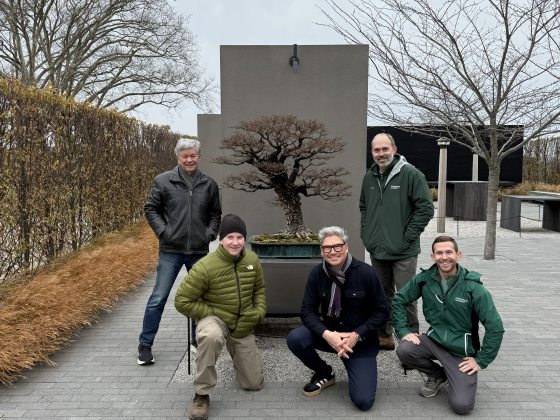 A group of five people posing outdoors around a large, mature bonsai tree set against a minimalist gray backdrop. Two men in green jackets stand on the right, while three others in casual winter attire (jackets and scarves) kneel or stand to the left and center. The background features a gravel courtyard and bare trees under an overcast sky.