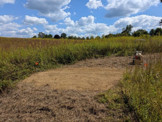 A ground-level shot of a trail maintenance project in a sunny meadow. A large, rectangular patch of fresh, light-colored soil or sand has been leveled into the trail to manage water runoff. To the right, a small piece of yellow motorized construction equipment (likely a plate compactor) sits on the mown grass. The background is filled with tall green and yellow meadow plants under a bright blue sky with fluffy white clouds.