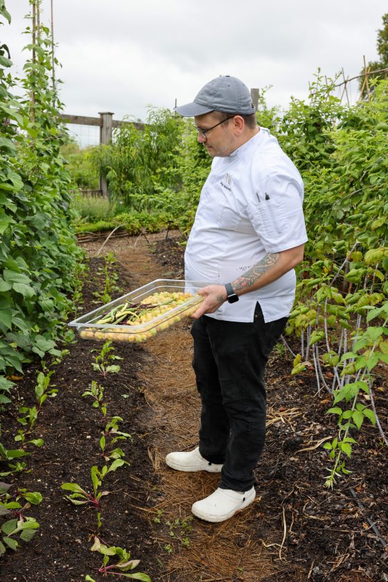 A chef wearing a white coat, black pants, and a grey cap stands in a garden row. He is looking down at a clear tray he is holding, which contains harvested green beans and small yellow produce.