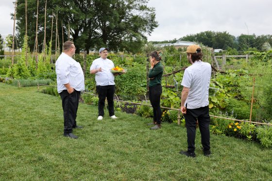 Four people, including three chefs in white coats and one person in a green polo shirt, stand in a grassy area next to a vegetable garden. One chef holds a clear tray of freshly harvested yellow and orange flowers while they engage in conversation.