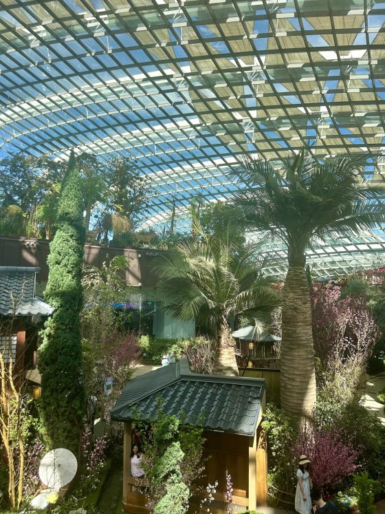 A high-angle interior view of the Flower Dome at Gardens by the Bay in Singapore. The shot features a large, glass-paneled domed roof casting geometric shadows over a lush indoor garden with palm trees, manicured hedges, and traditional Japanese-style wooden structures nestled among blooming pink flowers.