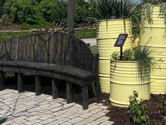 A black bench, along a stone path, next to three yellow barrels made into plant containers.