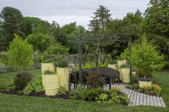 A garden featuring two black wood benches, and yellow barrels functioning as plant containers. 