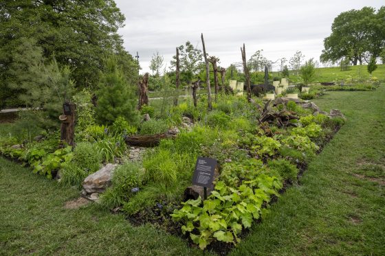 A garden featuring large wood features rising up from the plants. 
