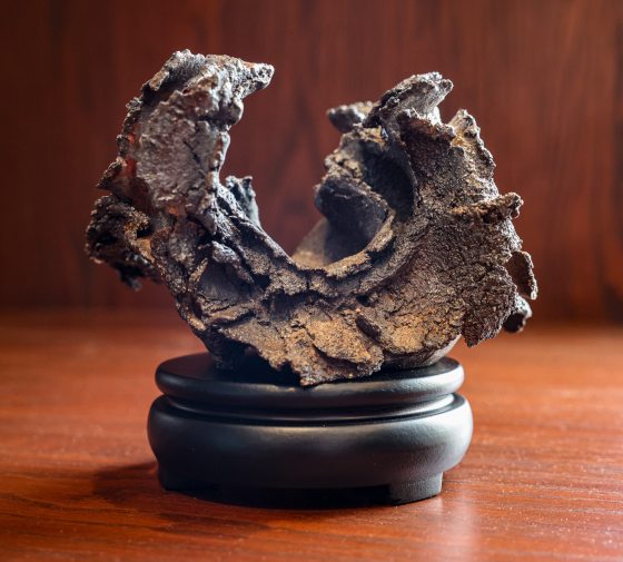 A close-up shot of an empty, highly textured ceramic Kusamono pot resting on a small, smooth, round black wooden display stand. The pot has an organic, crescent-like shape with a deeply rugged, cratered, dark brown and metallic surface resembling volcanic rock or molten earth. It is set against a warm, out-of-focus wooden background.