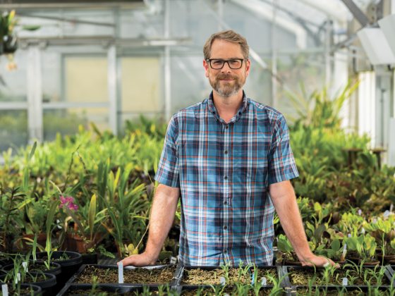 A man with blonde hair wearing a plaid shirt poses in a greenhouse. 
