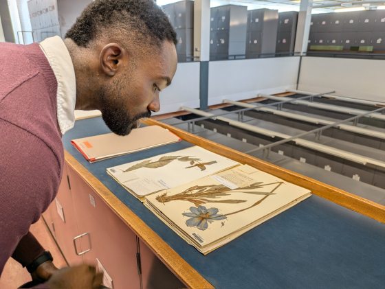 A close-up profile shot of a man looking intently down at open botanical specimen folders on a wooden countertop. The folders contain mounted, dried plant pressings, including a prominent blue flower. The background shows rows of grey storage cabinets in a large multi-level herbarium facility.