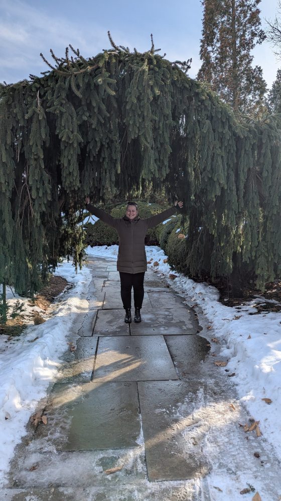 A woman standing centered on a stone-paved garden pathway in winter, joyfully holding her arms out wide. She is framed perfectly underneath a dense, weeping evergreen tree that forms a natural green archway above her. Patches of white snow line the sides of the cleared stone path.