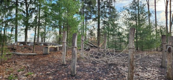 An outdoor nature play area in a wooded forest setting. A large climbable rope web is stretched tightly between several rough-cut wooden posts driven into the ground. In the background, logs are arranged in an activity circle, all surrounded by tall pine and deciduous trees under a partly cloudy sky.