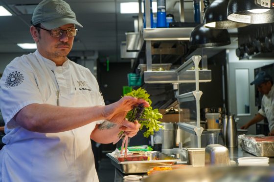 Chef George Murkowitcz stands at a stainless steel kitchen counter, carefully inspecting and separating a bundle of fresh parsley and purple lavender stems. He is wearing a white chef's coat with an embroidered logo on the sleeve, glasses, and a grey cap.