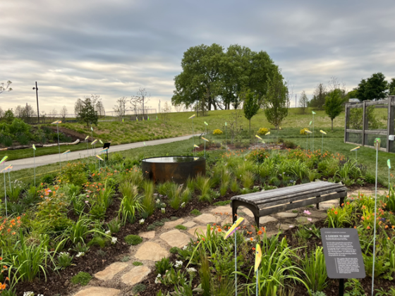 A wide angle view of a garden, featuring a stone path, benches, and lush summer plantings.