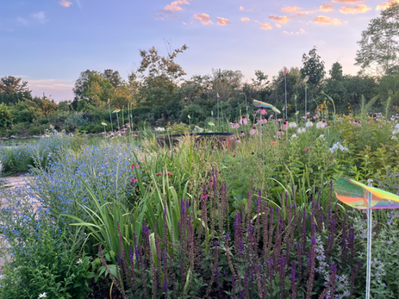 A picturesque garden at sunset, featuring tall grasses under a cotton candy sky. 