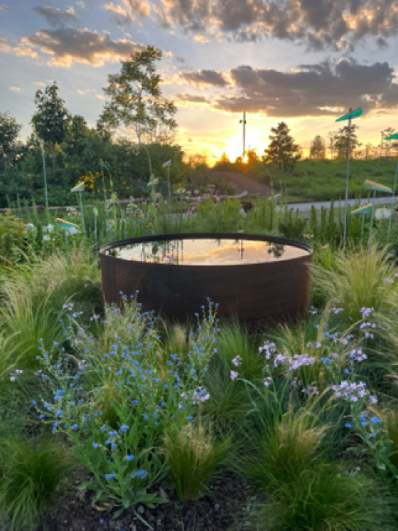 A garden setting, featuring a large round metal container of water surrounded by tall grasses, at sunset.