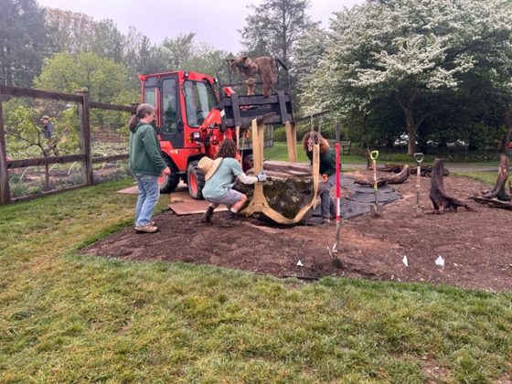 A tractor and two people working on a dirt garden plot.