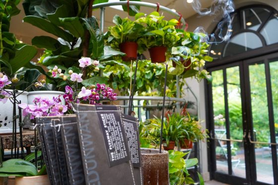 A close-up view inside a garden shop showing a burning incense stick in a brown ceramic holder, with a display of Flyaway Sticks packaging in the foreground and hanging pothos plants in the background.