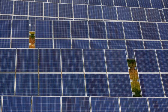 A close, rhythmic grid pattern of dark blue photovoltaic solar panels angled outward, with small patches of green grass visible between the rows.
