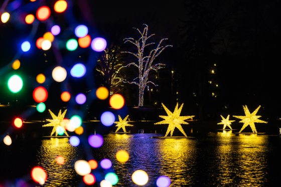 A nighttime scene of large lit star-forms floating on a lake with a tree decked out in multi-colored lights is seen through glowing multi-colored string lights. in the back ground 