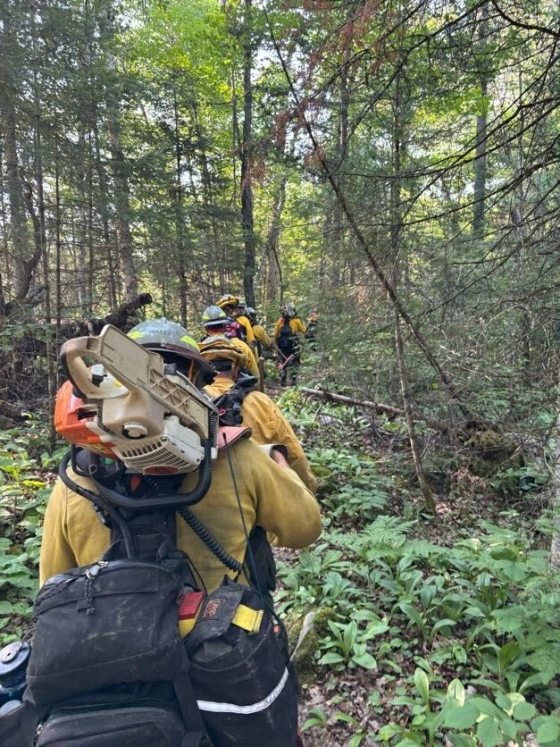 A line of firefighters wearing backpacks and hard hats hike single-file along a narrow, densely wooded dirt trail surrounded by lush green foliage.