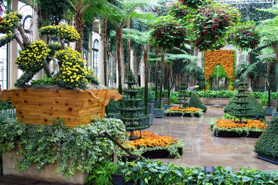 A lush indoor garden conservatory decorated with yellow and orange chrysanthemum topiaries, hanging flower baskets, and potted tropical greenery.