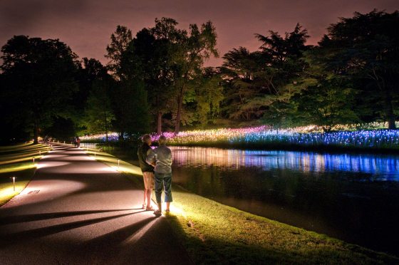 two people in front of a lake looking at a field of colored lights